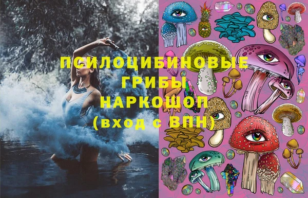 спиды Бронницы