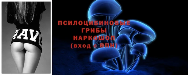 прущий лед Болотное