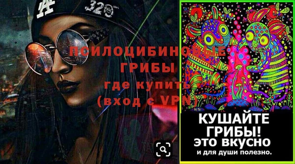 спиды Бронницы