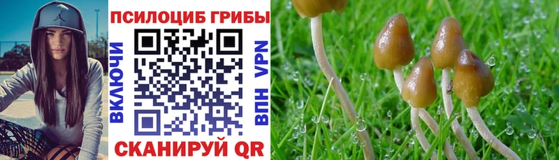 Галлюциногенные грибы ЛСД  купить  сайты  Ворсма 
